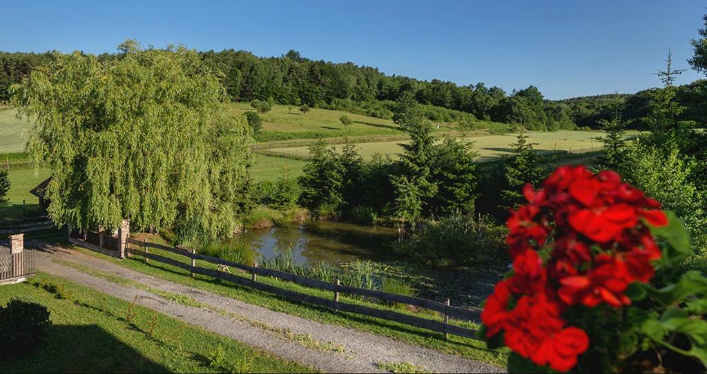 Tourist Farm Mali Raj Villa Dolenci Exteriör bild